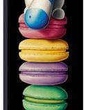 Peter Smith Macarooned