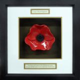 Corps of Royal Engineers Framed Poppy