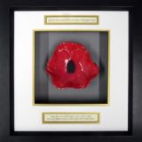 Queen Alexandra’s Royal Army Nursing Corps Ceramic Framed Poppy