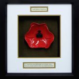 Staffordshire Regiment Ceramic Framed Poppy