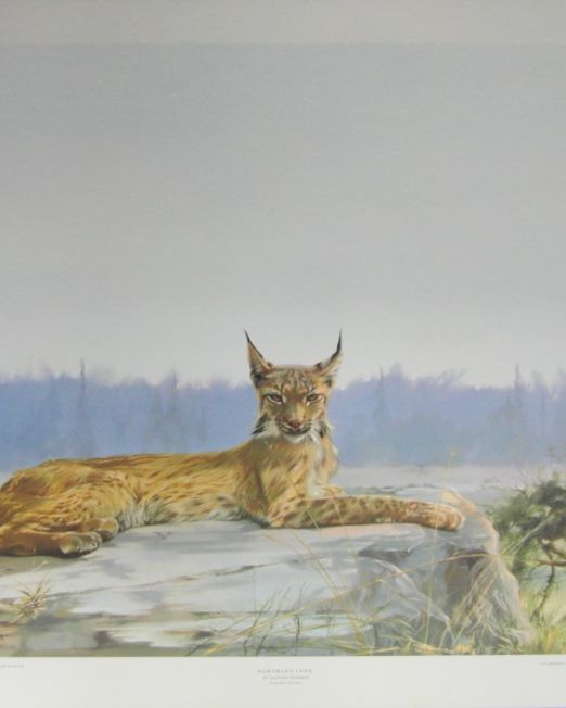 Leonard Pearman Northern Lynx