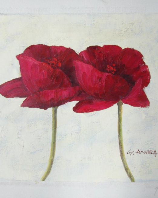 G. Amara Red Poppies