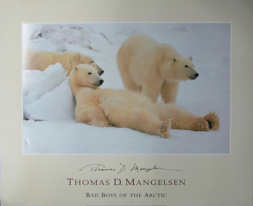 Thomas D Mangelson Bad Boys of the Artic - Frame UK