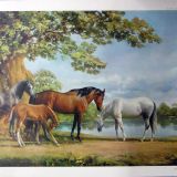 Frank Wotton Four Horses