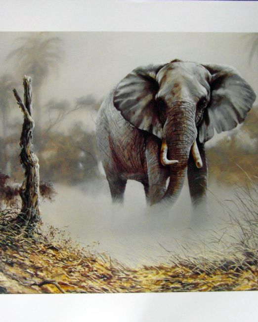 Spencer-Hodge-Elephant-in-the-Dust
