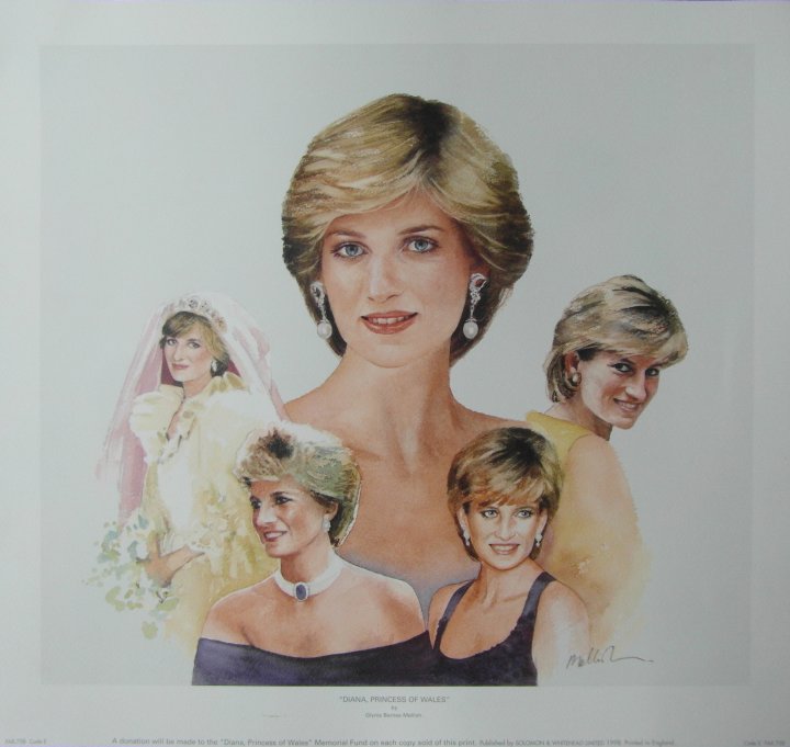 Glynis Barnes Mellish Diana Princess Of Wales Frame Uk