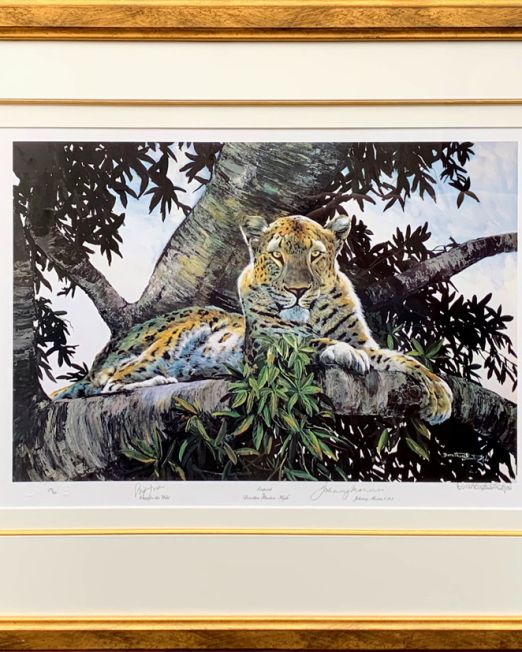 Dorothea Buxton Hyde Leopard Signed by Jonny Morris & Rick Jordan (Image 56 x 40cm) (Frame 87 x73cm)