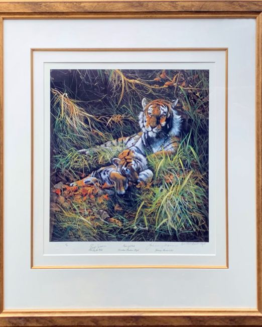 Dorothea Buxton Hyde Tiger & Cub Signed by Jonny Morris & Rick Jordan (Image 39 x 41cm) (Frame 69 x73cm)