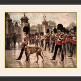 Irish Guards Dismounting Buckingham Place Led by the Mascot and Regimental Band